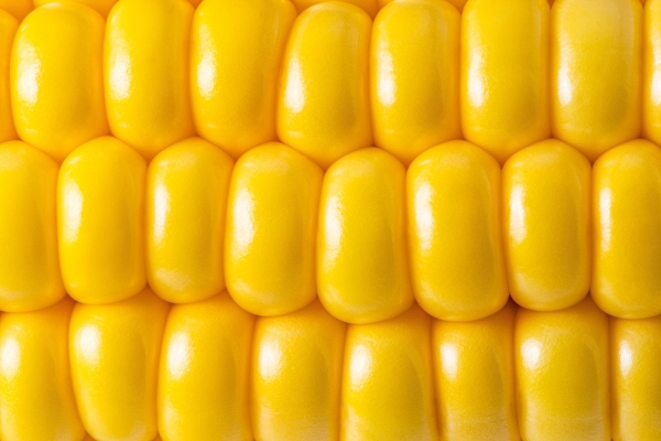 Corn